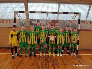 «Кожаный мяч-школьная футбольная лига»